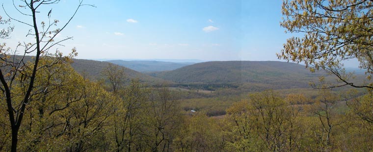 Spring Gap Mt.5