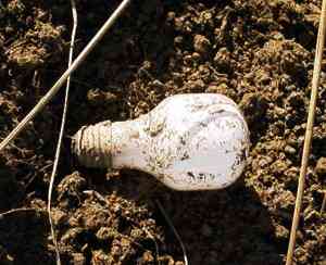 5-7bulb.jpg - 12047 Bytes