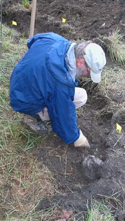 McBride checking