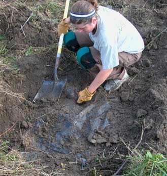 10-8-07w.jpg