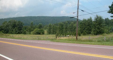 Bear Camp bearc-75.jpg
