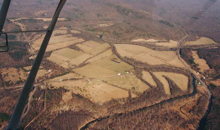 Forks of Capon