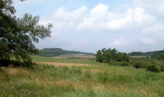 Little Meadow northwest ftnec137.jpg