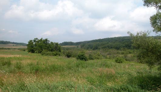 Little Meadow northeast ftnec138.jpg
