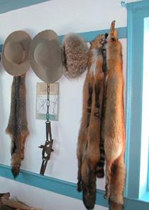 Furs conocfur.jpg