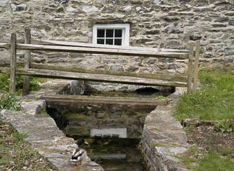 hager03.jpg - spring