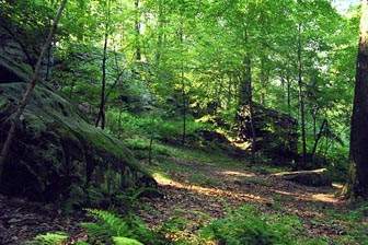 Jmonville Glen
