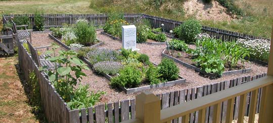 Kitchen Garden 05-2