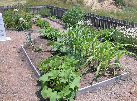 Kitchen Garden 5-12