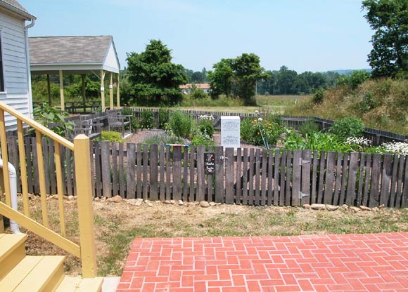 Kitchen Garden 5-20