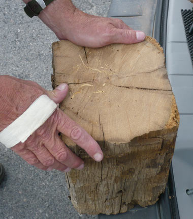 section of a building log