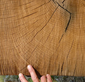 pointing out the size of the rings